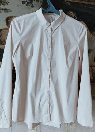 Сорочка бавовна 2