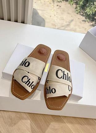 Шльопки шльпанці chloe