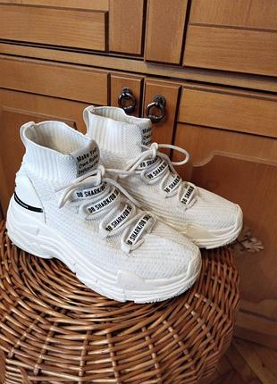 Жіночі кеди  кросівки db shark  розмір 37