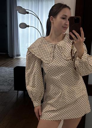 Коротка сукня з комірцем в горошок