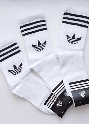 Набір 6 пар білі жіночі високі шкарпетки adidas 36-40р високі жіночі спортивні шкарпетки адідас