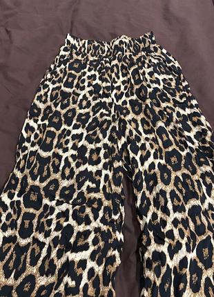 Леопардові штани 2