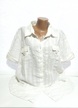 Сорочка батал з коротким рукавом.котон 100%