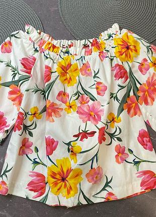 Блуза жіноча