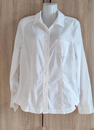 Стильна  сорочка блуза edc