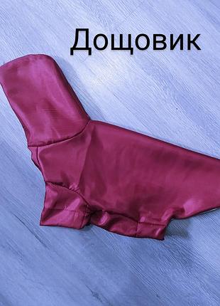 Дощовик одяг для собак