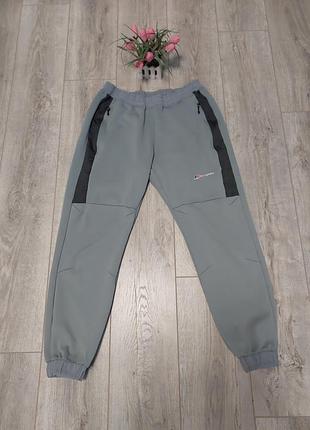 Чоловічі сірі спортивки berghaus.
