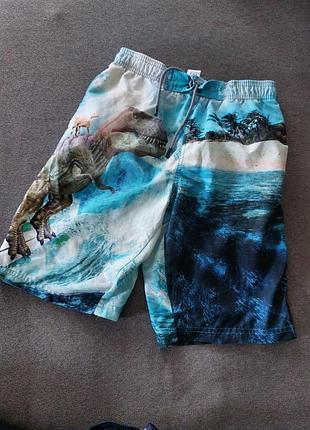 💚💙🩵 крутые яркие шорты динозавры