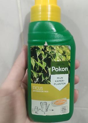 Добриво " pokon" для фікусів