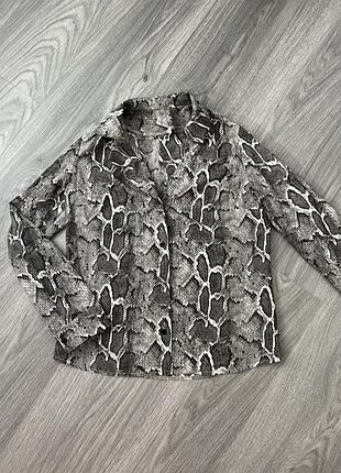 Блуза принтована