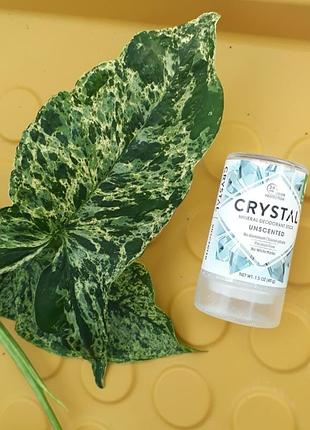 В наявності crystal, мінеральний дезодорант кристал 40 г iherb айхерб