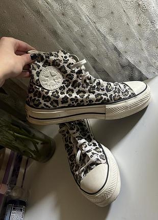 Converse конверси леопардові оригінальні