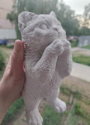 Антистрес, розвіси свого кота 🐈