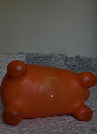 Коник стрибун 5