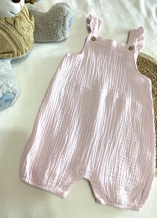 Мусліновий пісочник