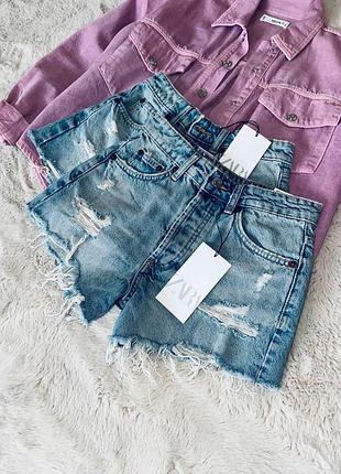 Щорти zara