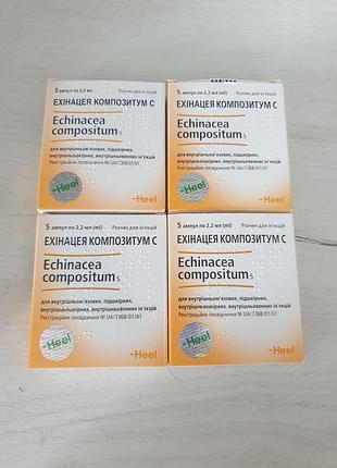 Ехінацея композітум с 5 ампул
