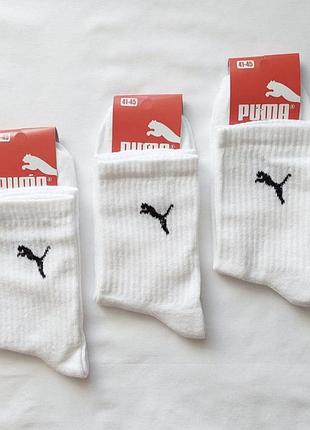 Набор 6 пар мужские высокие носки puma пума 41-45р. белые мужские высокие летние носки пума