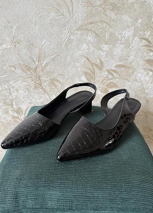 Туфли, туфли, босоножки, босоножки, обувь, лаковая обувь, черная обувь, маленький каблук