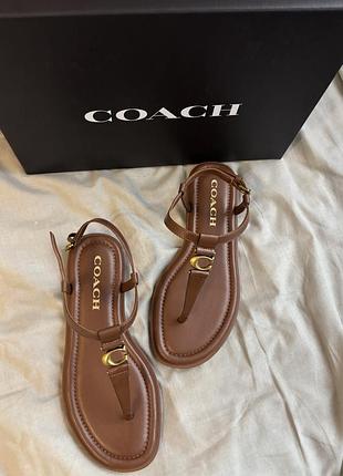 Сандалі coach