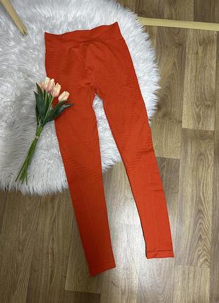 Жіночі лосіни 🧡