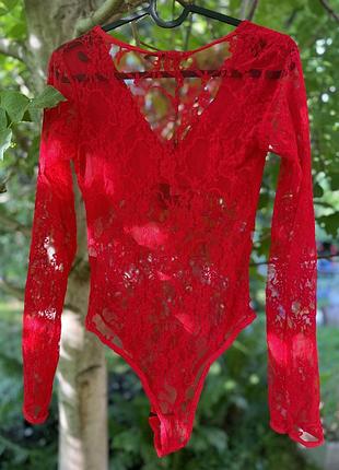 Гарне нове стильне мереживне боді тренд