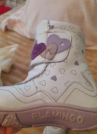 Сапожки шкіряні 3