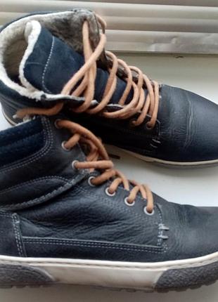 Мужские утепленные кожаные ботинки urban x tommy
