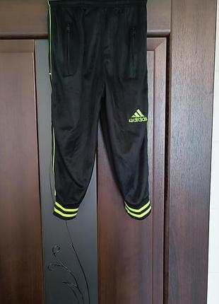Спортивные штаны adidas
