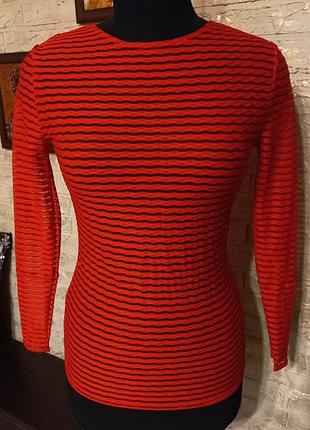 Лонгслив полупрозрачный