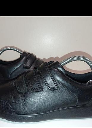 Брендові шкіряні кросівки clarks.
