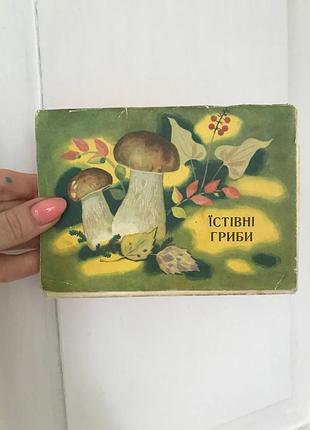 Київ, видавництво «мистецтво» 1974рік. «їстівні гриби.»комплект  листівок.