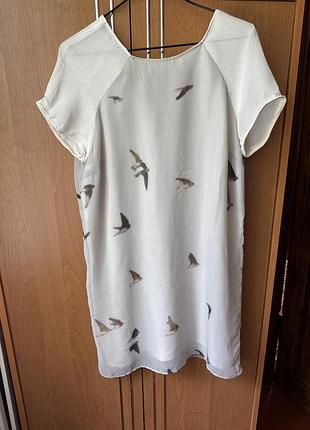 Сукня  zara