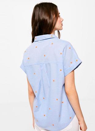 Сорочка springfield 5