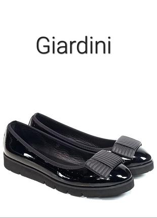 Шкіряні жіночі балетки giardini оригінал