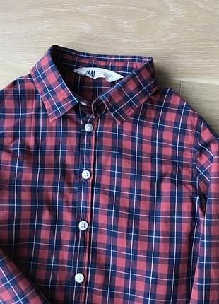 Сорочка в клітинку 2