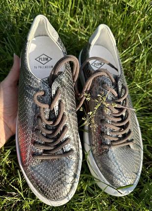 Шкіряні кросівки palladium6 фото