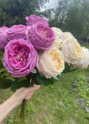 Гелеві троянди піоновидні