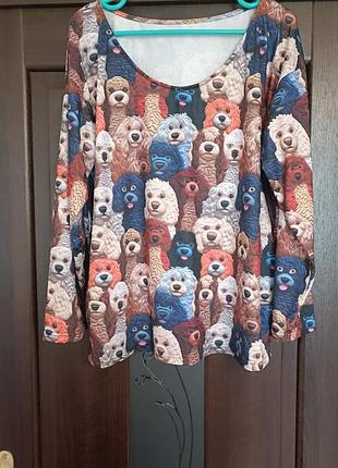 Реглан кофта