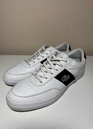 Кеди чоловічі lacoste