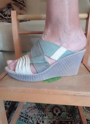 Сабо, кожа, 40 р.