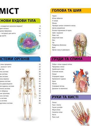 Енциклопедія знань. тіло людини
