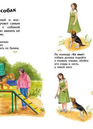 Собаки