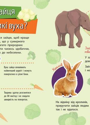 Тварини