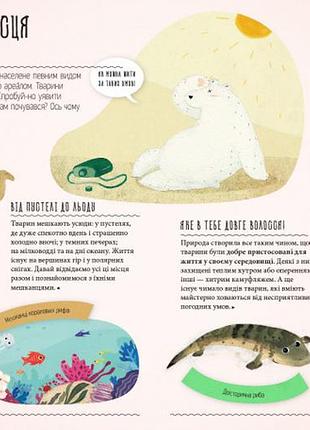 Чому пінгвіни не мерзнуть: як тварини пристосовуються до середовища існування