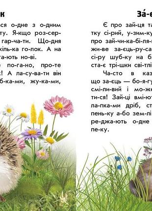 Тварини лісів