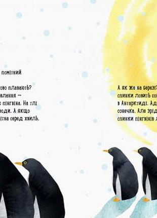 Де живе пінгвін?