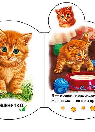 На подвір'ї