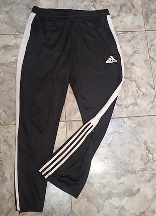 Спортивные штаны adidas