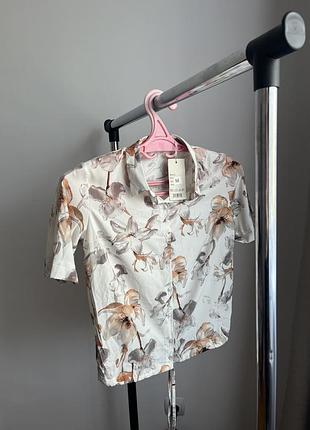 Нова сорочка на короткий рукав